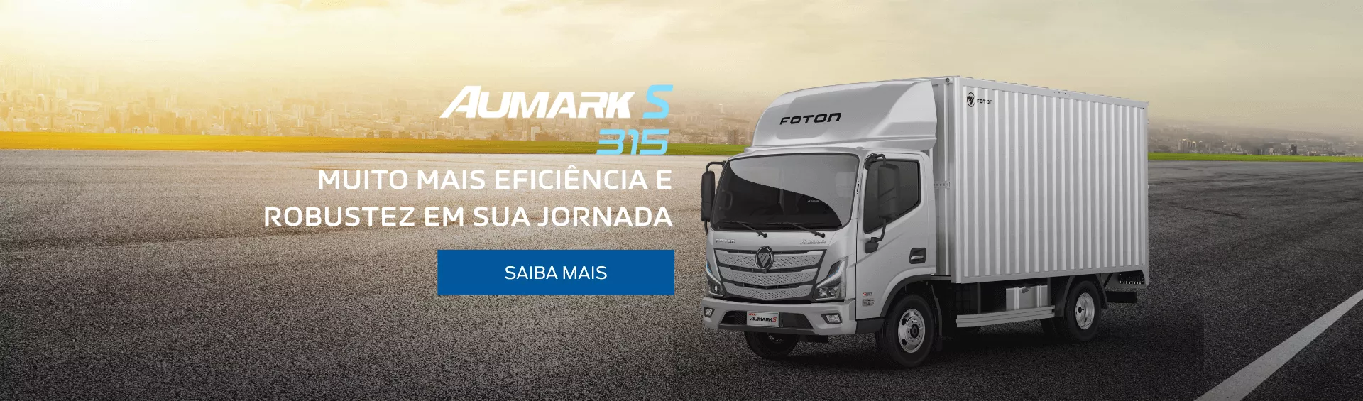 Aumark S 315